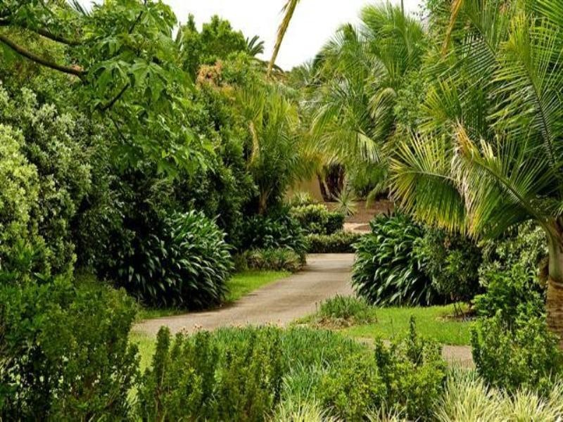 1625 Rosebank Way, Hope Island QLD 4212