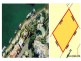 26 Paradise Place, Surfers Paradise QLD 4217