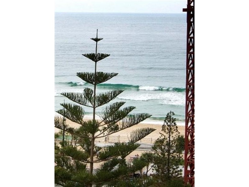 3 Orchid Avenue, Surfers Paradise QLD 4217