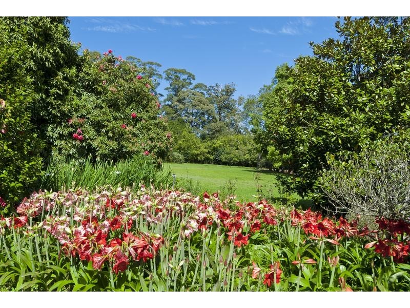 39 Esme Street, North Tamborine QLD 4272