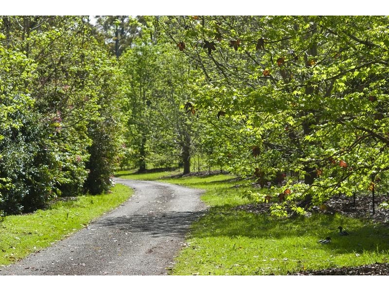 39 Esme Street, North Tamborine QLD 4272