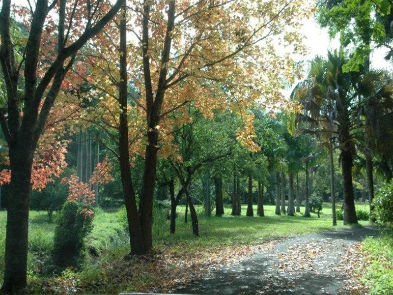 138 Piggabeen Road, Currumbin Valley QLD 4223