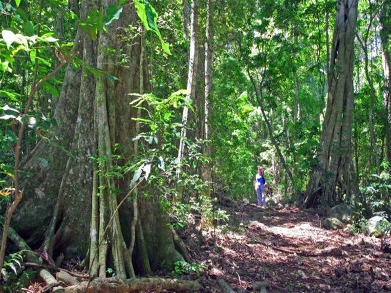 11/163 Curtis Road, North Tamborine QLD 4272