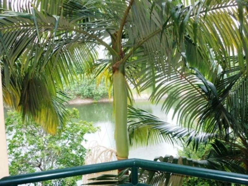 224B-1 Paradise Island, Surfers Paradise QLD 4217