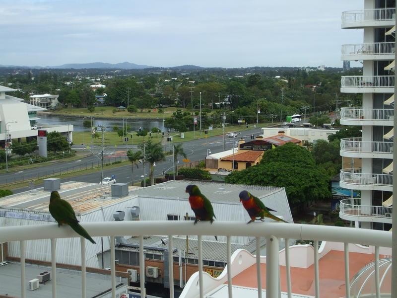 90 Surf Parade, Broadbeach QLD 4218
