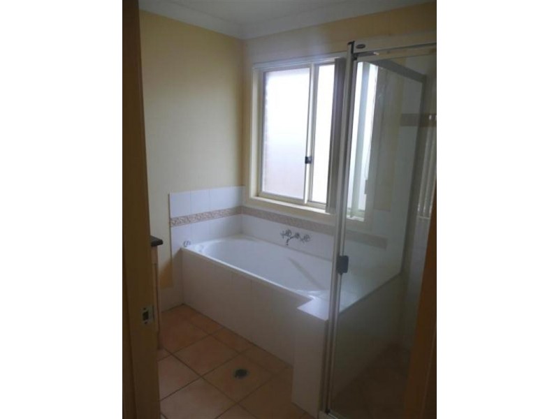 115 Collins Street, Collingwood Park QLD 4301