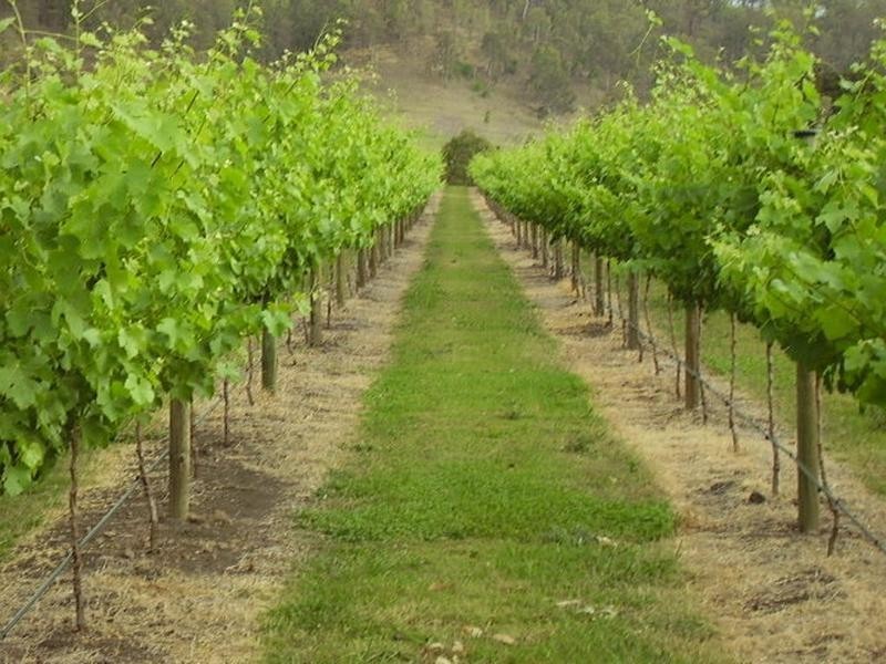 46 Rymera Road, Sarabah QLD 4275