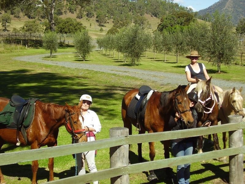 46 Rymera Road, Sarabah QLD 4275