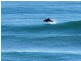 17/3508 Main Beach Parade, Main Beach QLD 4217