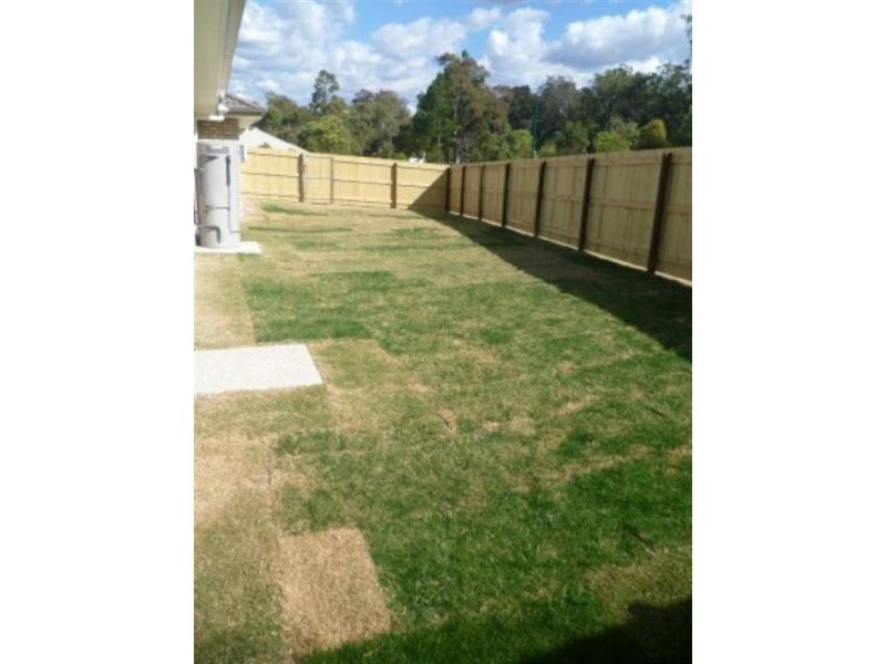 17 Lindfield Street, Hillcrest QLD 4118