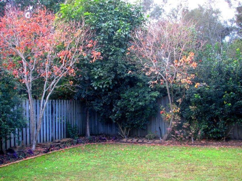 23 Hillsborough Close, Robina QLD 4226