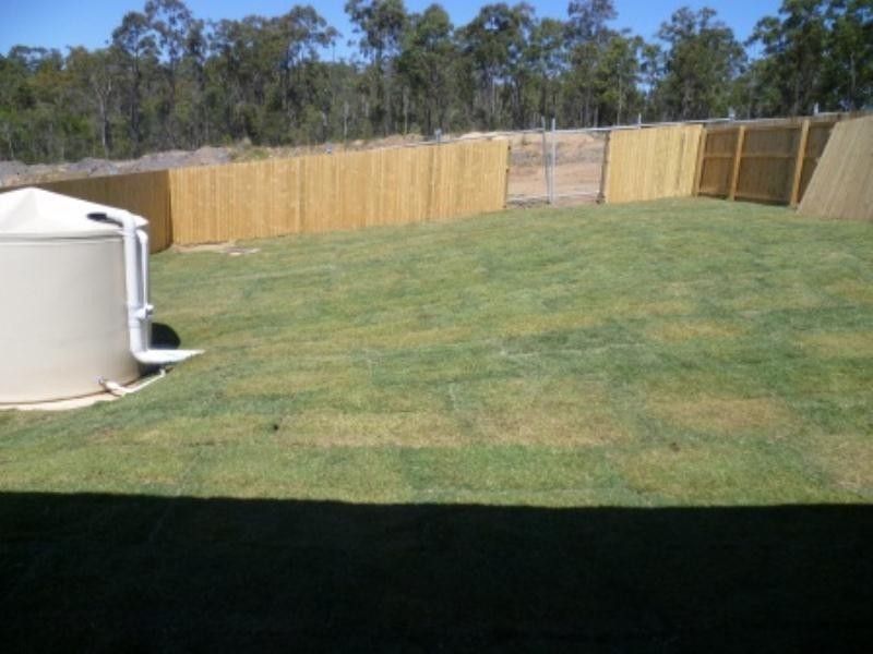 6 Lemongrass Place, Springfield Lakes QLD 4300