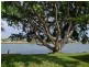 2 Wells Street, Southport QLD 4215