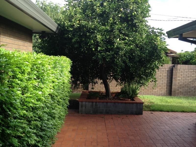 19 Rapallo Avenue, Isle Of Capri QLD 4217