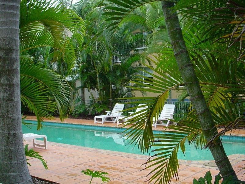 35 Palm Avenue, Surfers Paradise QLD 4217