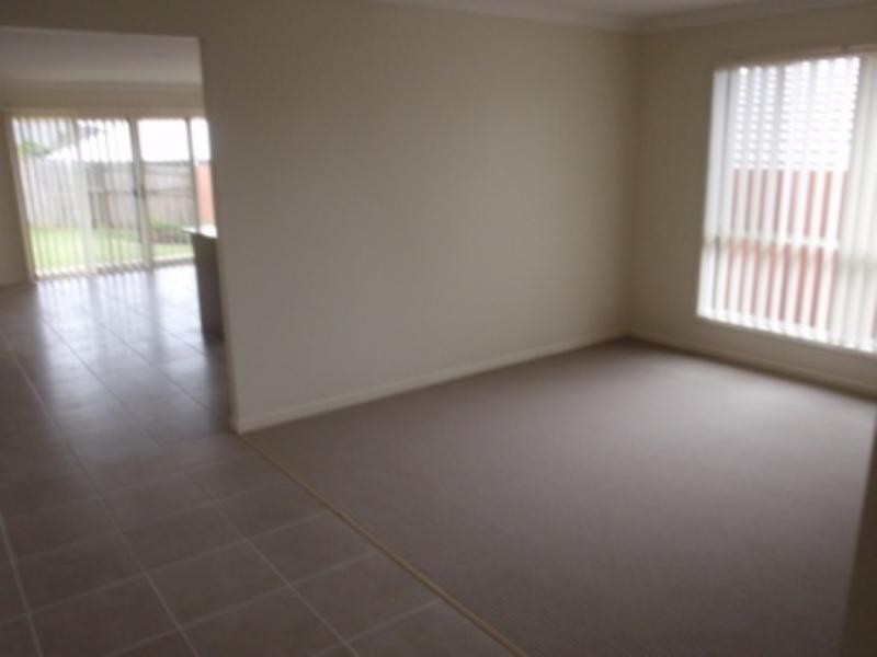 17 Filbert Street, Upper Coomera QLD 4209