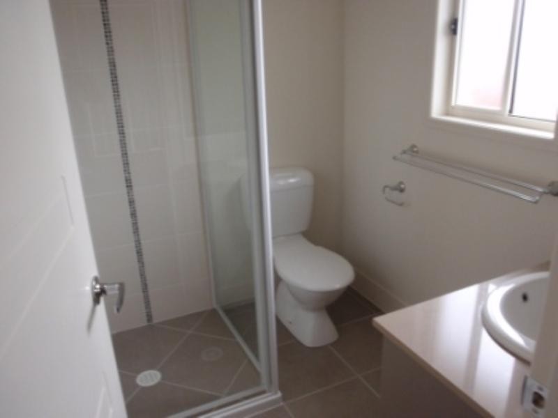 17 Filbert Street, Upper Coomera QLD 4209