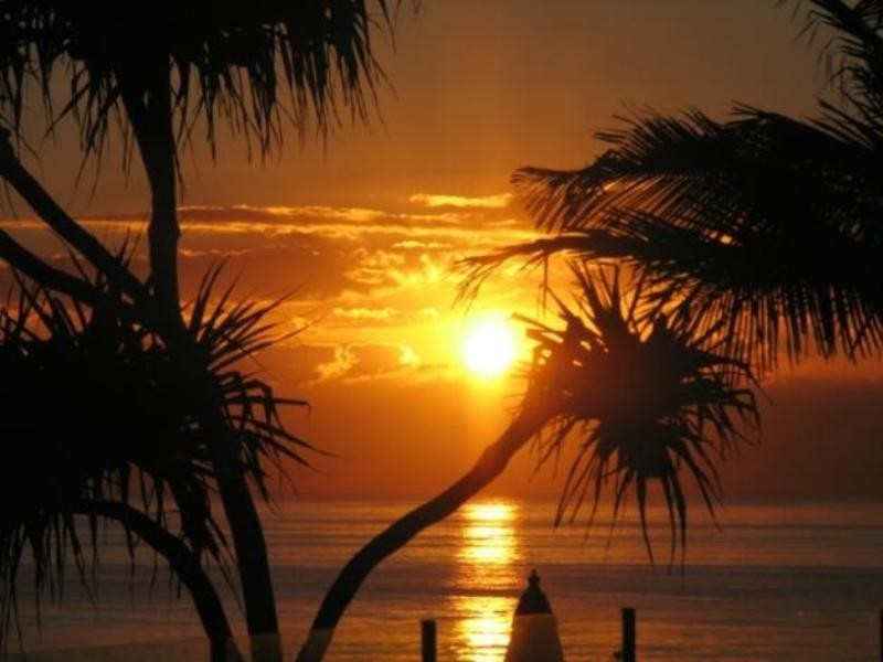 103 Waves On Currumbin, 2 Tomewin Street, Currumbin QLD 4223