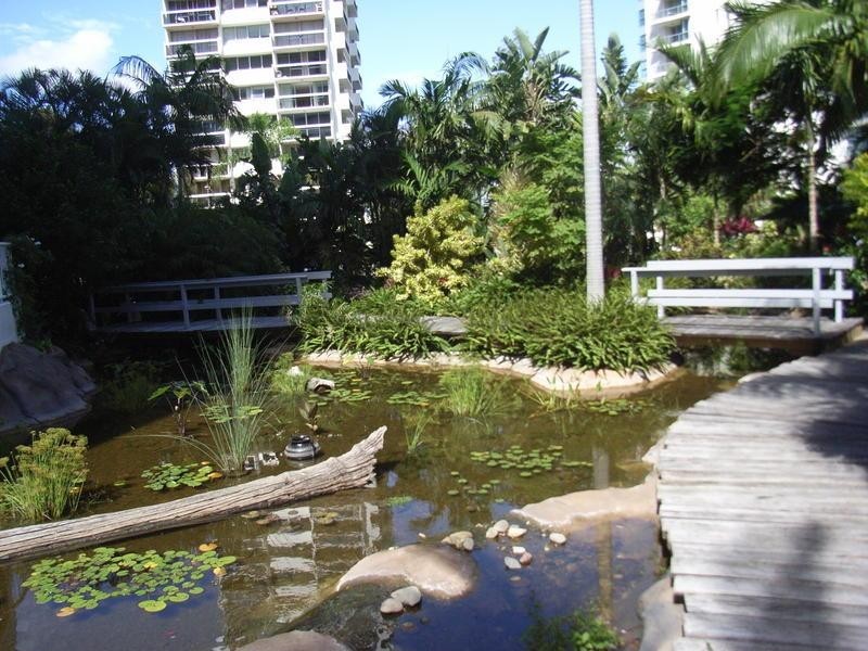 19 Riverview Parade, Surfers Paradise QLD 4217