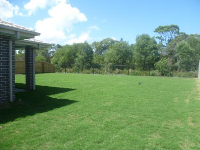 31 Grice Crescent, Ningi QLD 4511