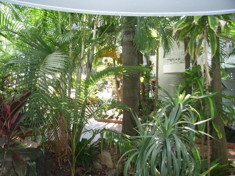 31 Orchid Avenue, Surfers Paradise QLD 4217