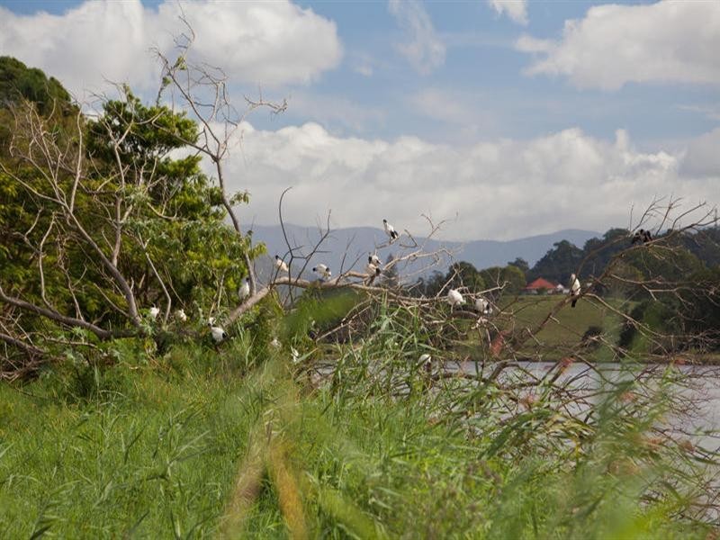 Murwillumbah NSW 2484