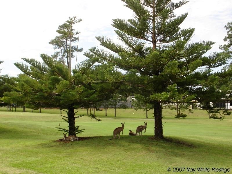 Sanctuary Cove QLD 4212