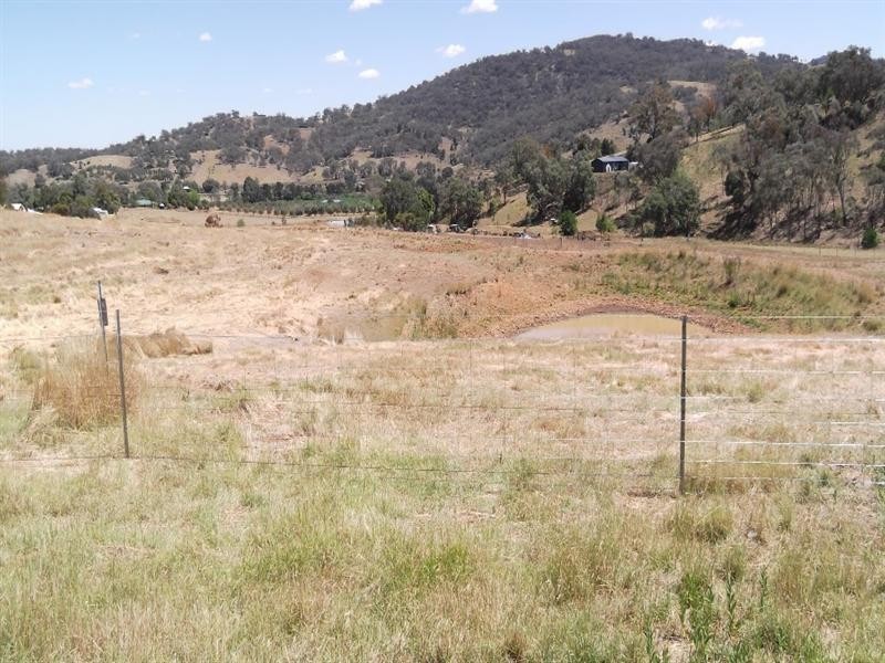 139 Adolphus Drive, Nemingha NSW 2340