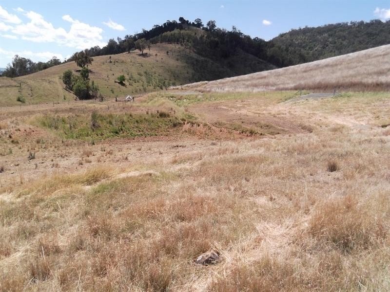 139 Adolphus Drive, Nemingha NSW 2340