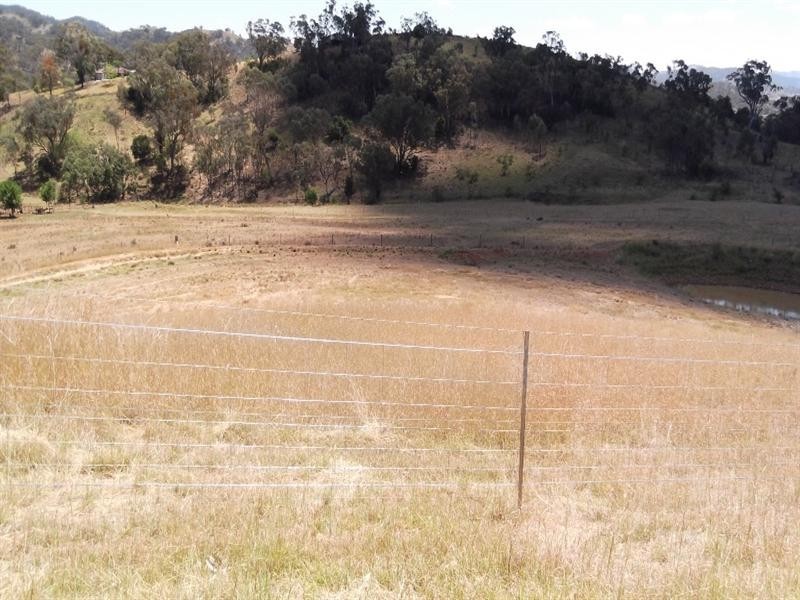 139 Adolphus Drive, Nemingha NSW 2340