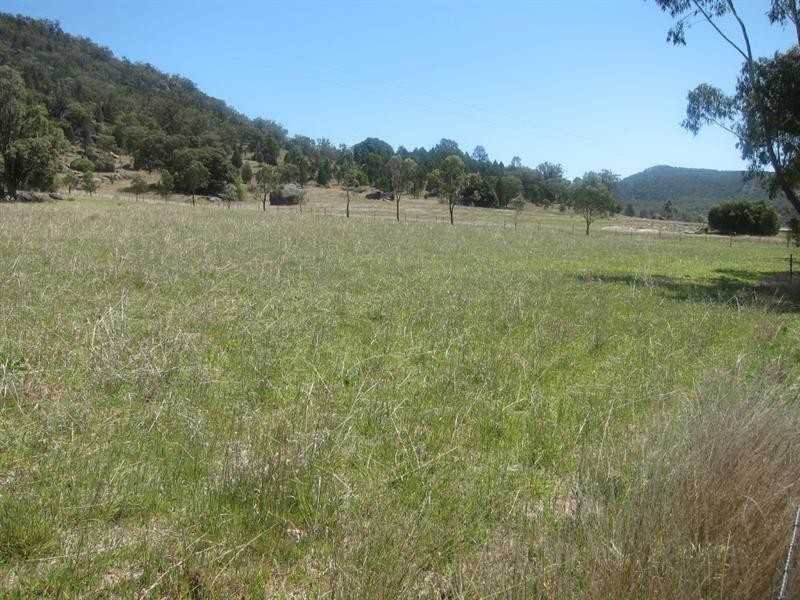 319 Gaol Creek Road, Moonbi NSW 2353