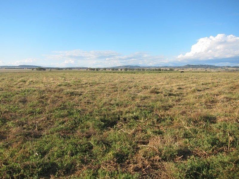 173 Lower Somerton Road, Attunga NSW 2345