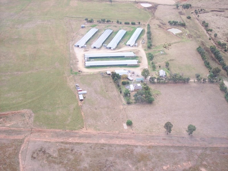 153 Byamee Lane, Tamworth NSW 2340
