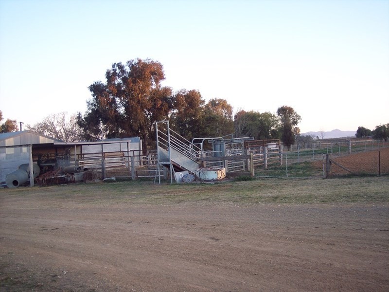 153 Byamee Lane, Tamworth NSW 2340