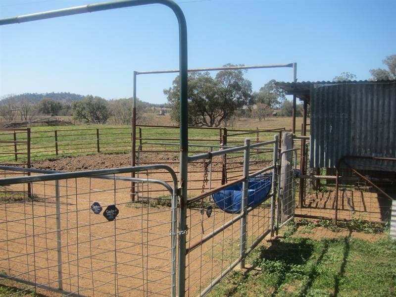 130 Doring Lane, Manilla NSW 2346