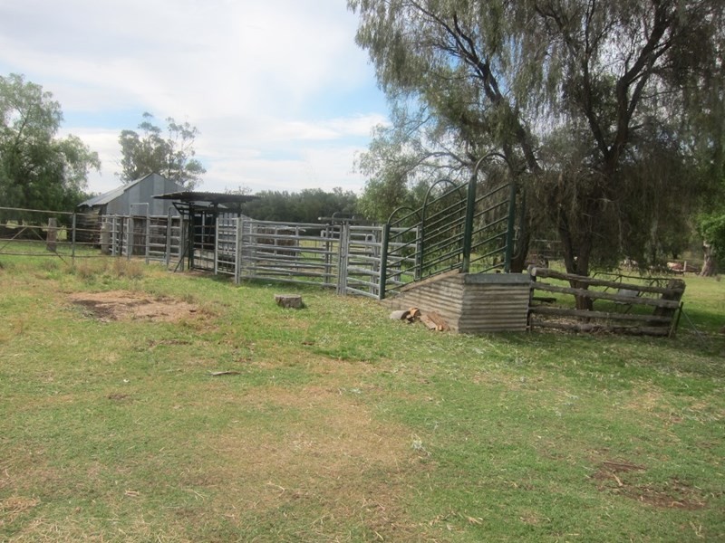 1778 Piallaway Road, Currabubula NSW 2342