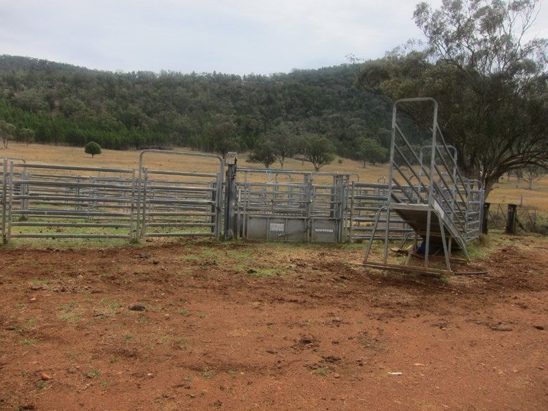 1778 Piallaway Road, Currabubula NSW 2342