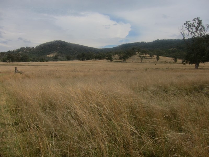 1778 Piallaway Road, Currabubula NSW 2342