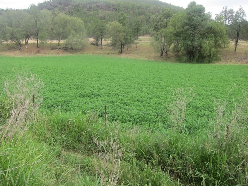 1778 Piallaway Road, Currabubula NSW 2342