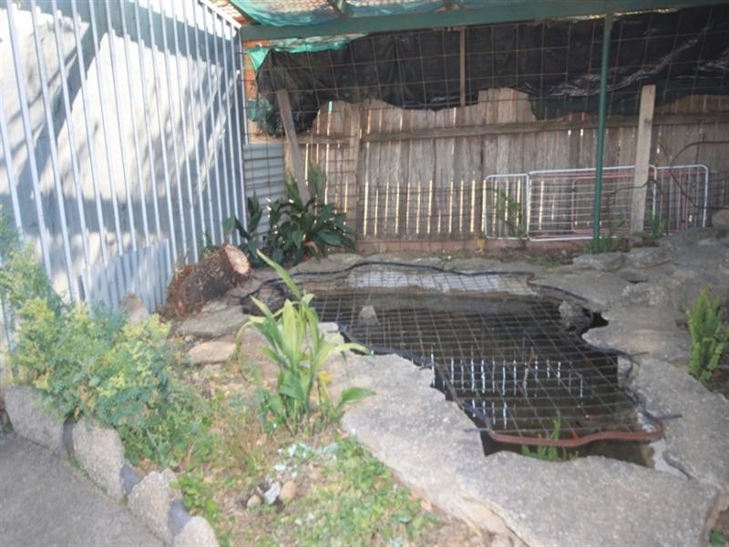 50 Sussex Street, Tamworth NSW 2340