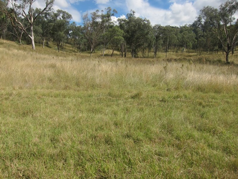 Lot 6 Pindari Estate, Tamworth NSW 2340