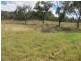 Lot 12 Pindari Estate, Tamworth NSW 2340