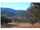 Lot 11 Pindari Estate, Tamworth NSW 2340