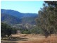 Lot 15 Pindari Estate, Tamworth NSW 2340