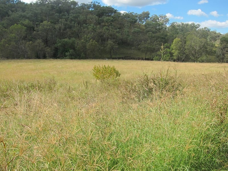Lot 17 Pindari Estate, Tamworth NSW 2340