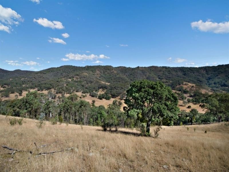 1592 Ogunbil Road, Ogunbil NSW 2340