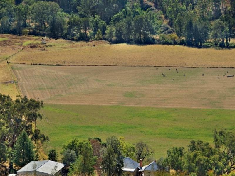 1592 Ogunbil Road, Ogunbil NSW 2340