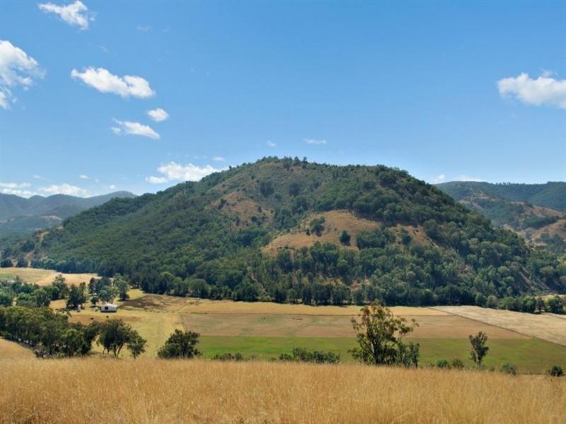 1592 Ogunbil Road, Ogunbil NSW 2340