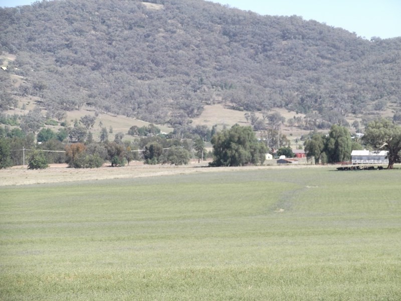 Lot 5042 Back Kootingal Road, Tamworth NSW 2340