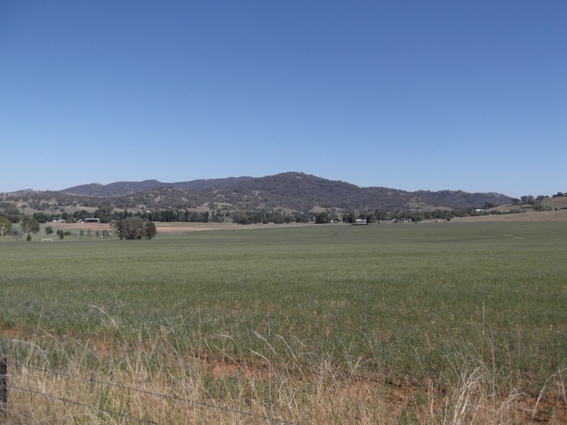 Lot 5042 Back Kootingal Road, Tamworth NSW 2340